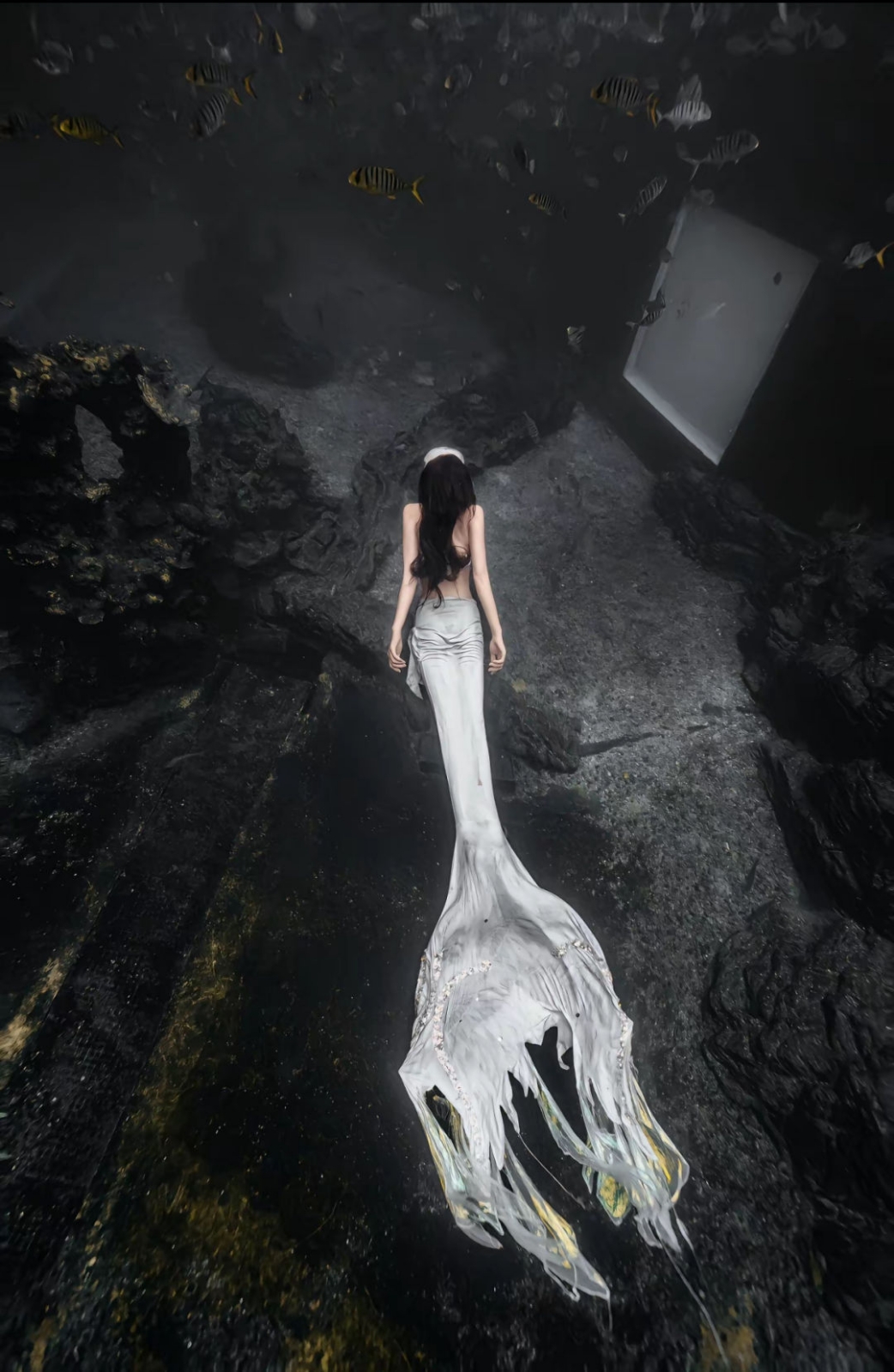 真人美女壁纸古装美女_真人美女壁纸情头真人