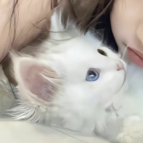 美女for_美女情头真人
