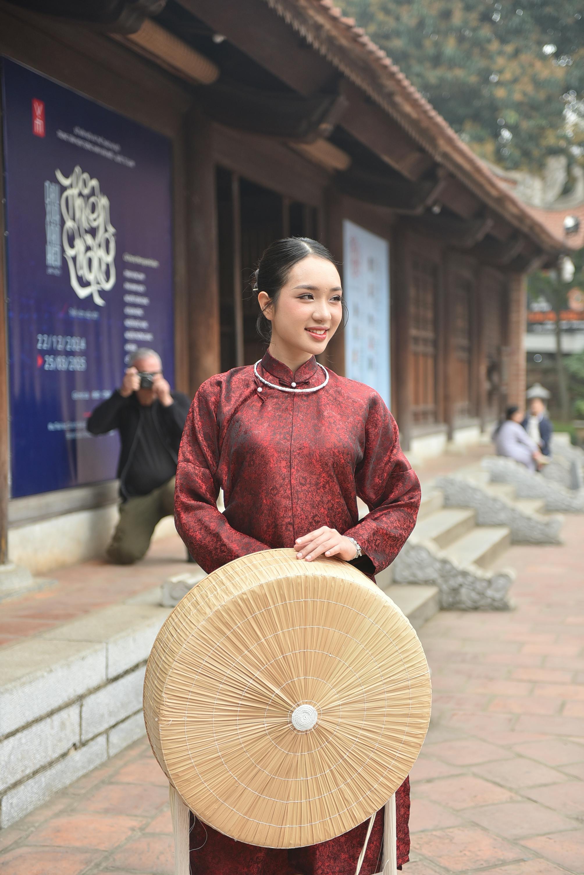 美景图片Images_花园中盛开的白色雏菊的特写镜头
