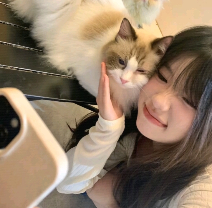 真人美女照片背景图片_真人美女照片真人美女头像丨女生头像