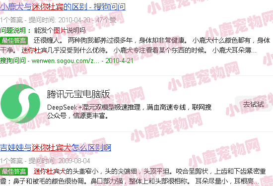 宠物狗狗图片品种大全写_宠物图片猫