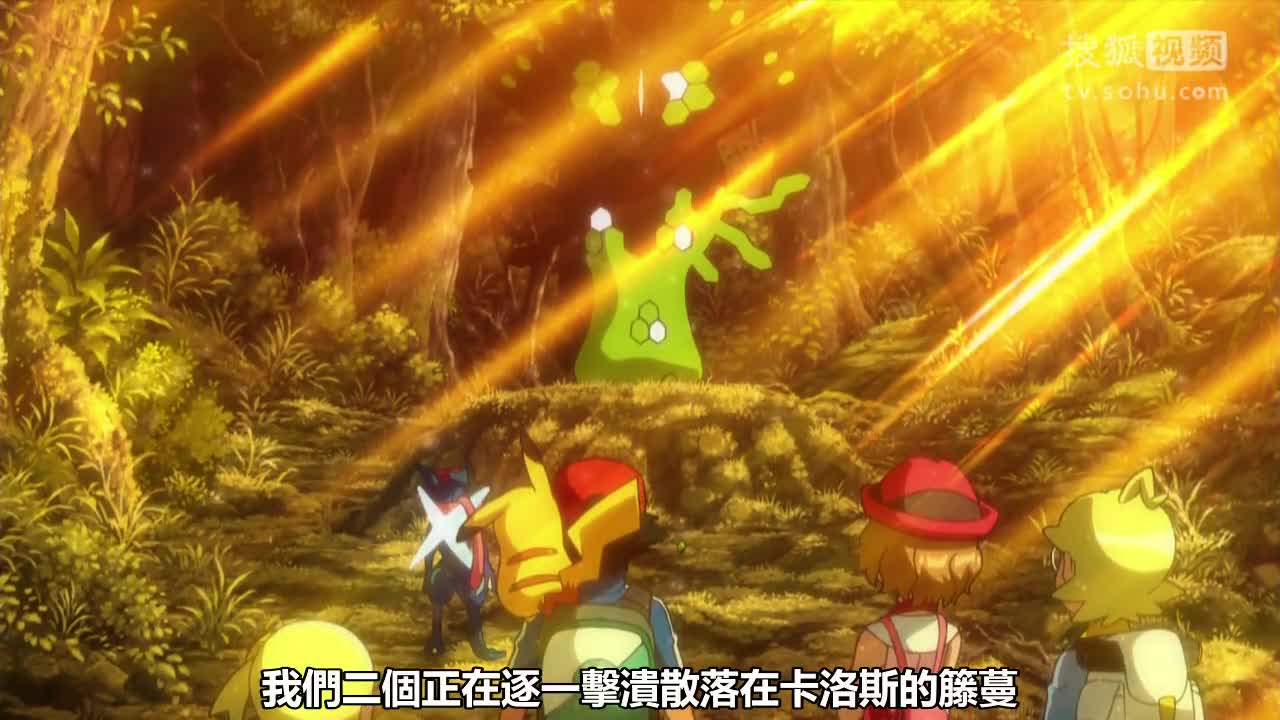 宠物图片狗子_宠物图片头像
