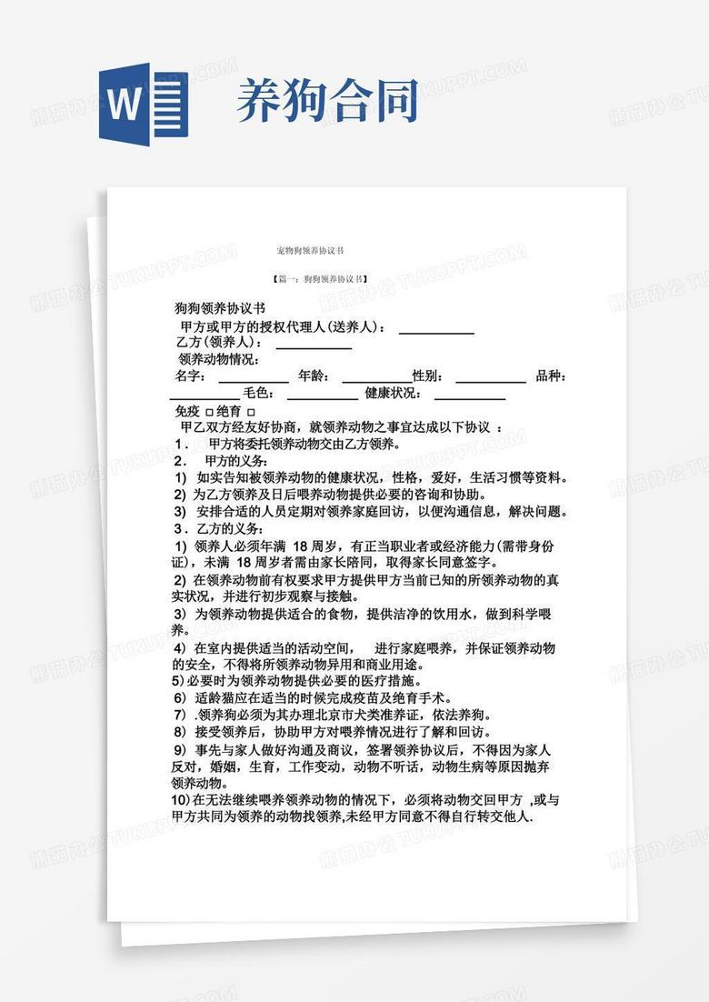 宠物头像猫猫_宠物图片图片