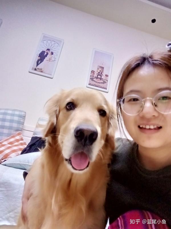宠物猫养荷兰猪_宠物图片狗狗图片品种大全