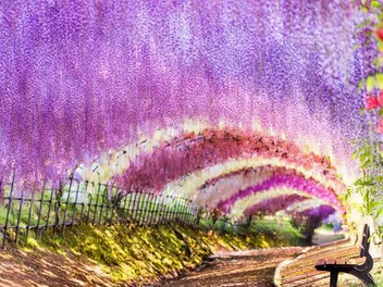 美景图片真实照片night_美景图片高清大图壁纸