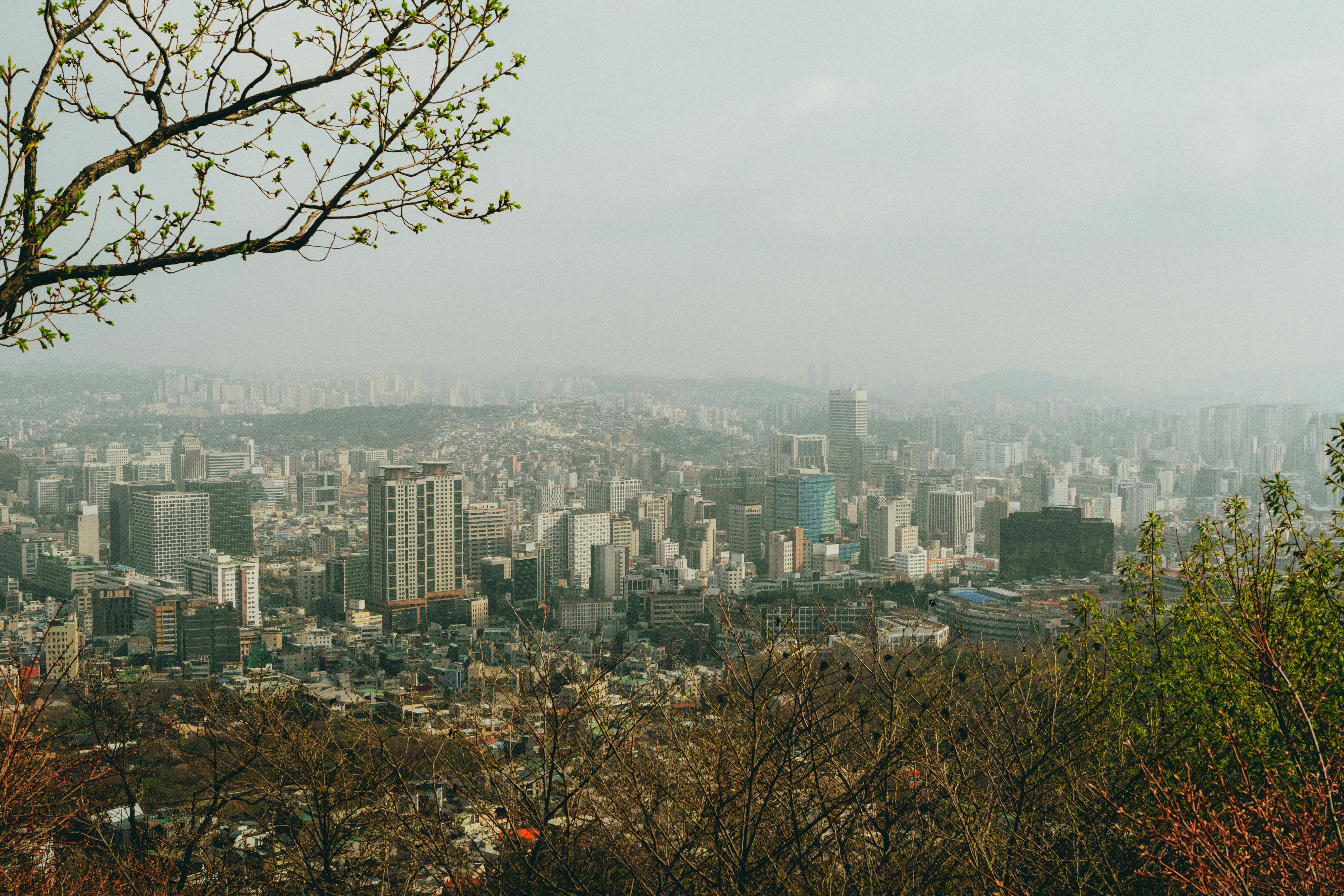 美景图片川西_魁北克市黑白历史建筑