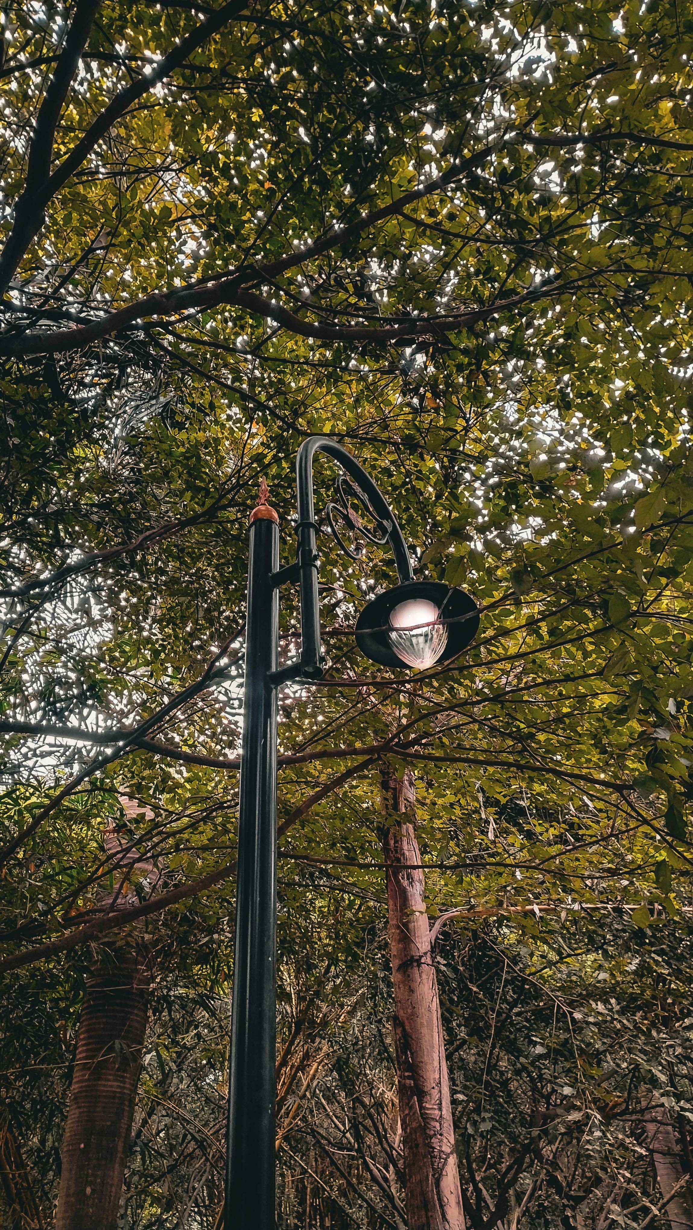壁纸高清高清_宁静的湖畔风景