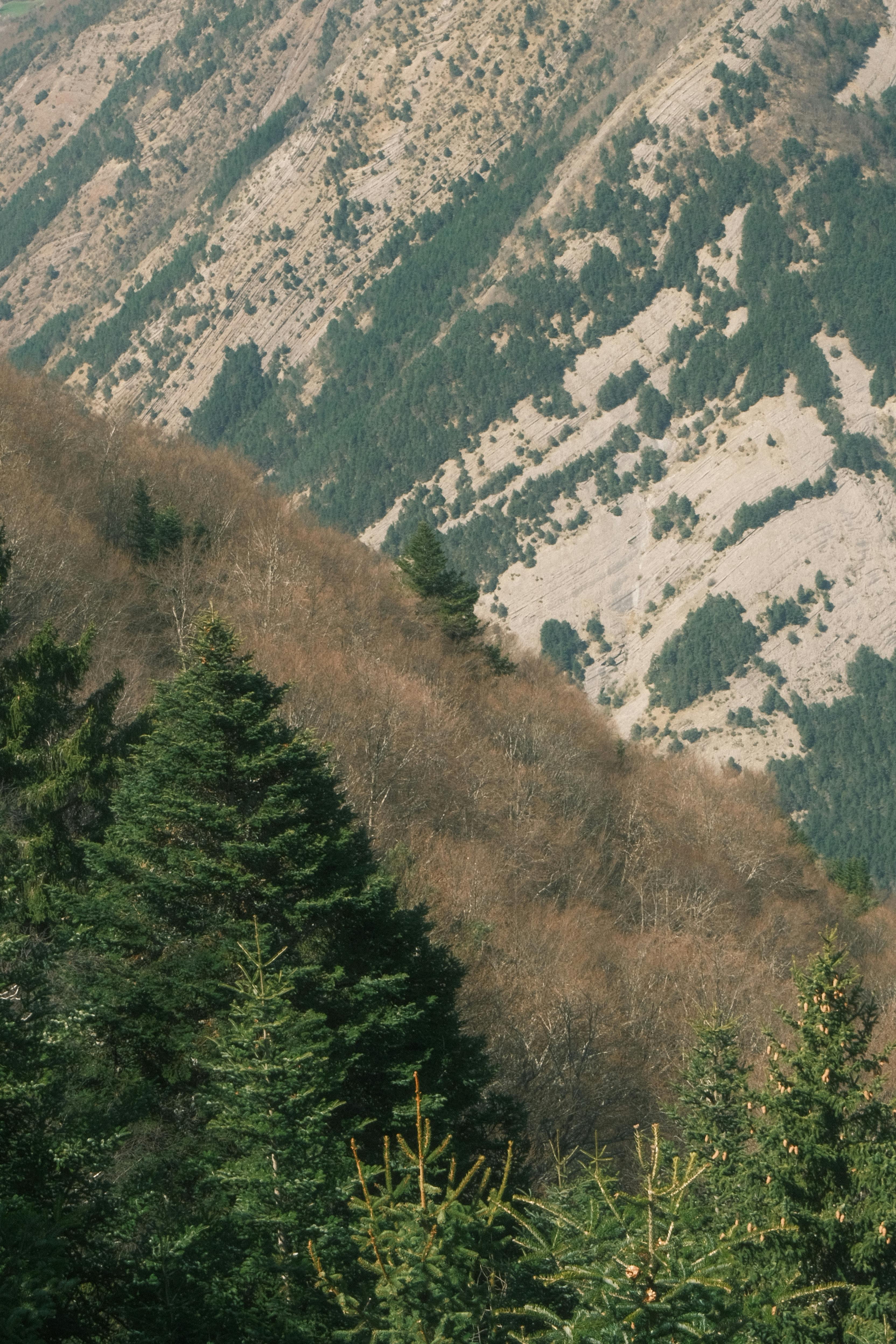 壁纸古风雪山壁纸_法国比利牛斯山脉的风景