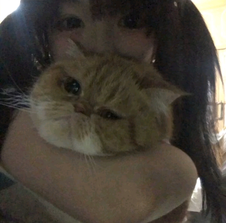 真人美女头像中国_真人美女头像真人头像