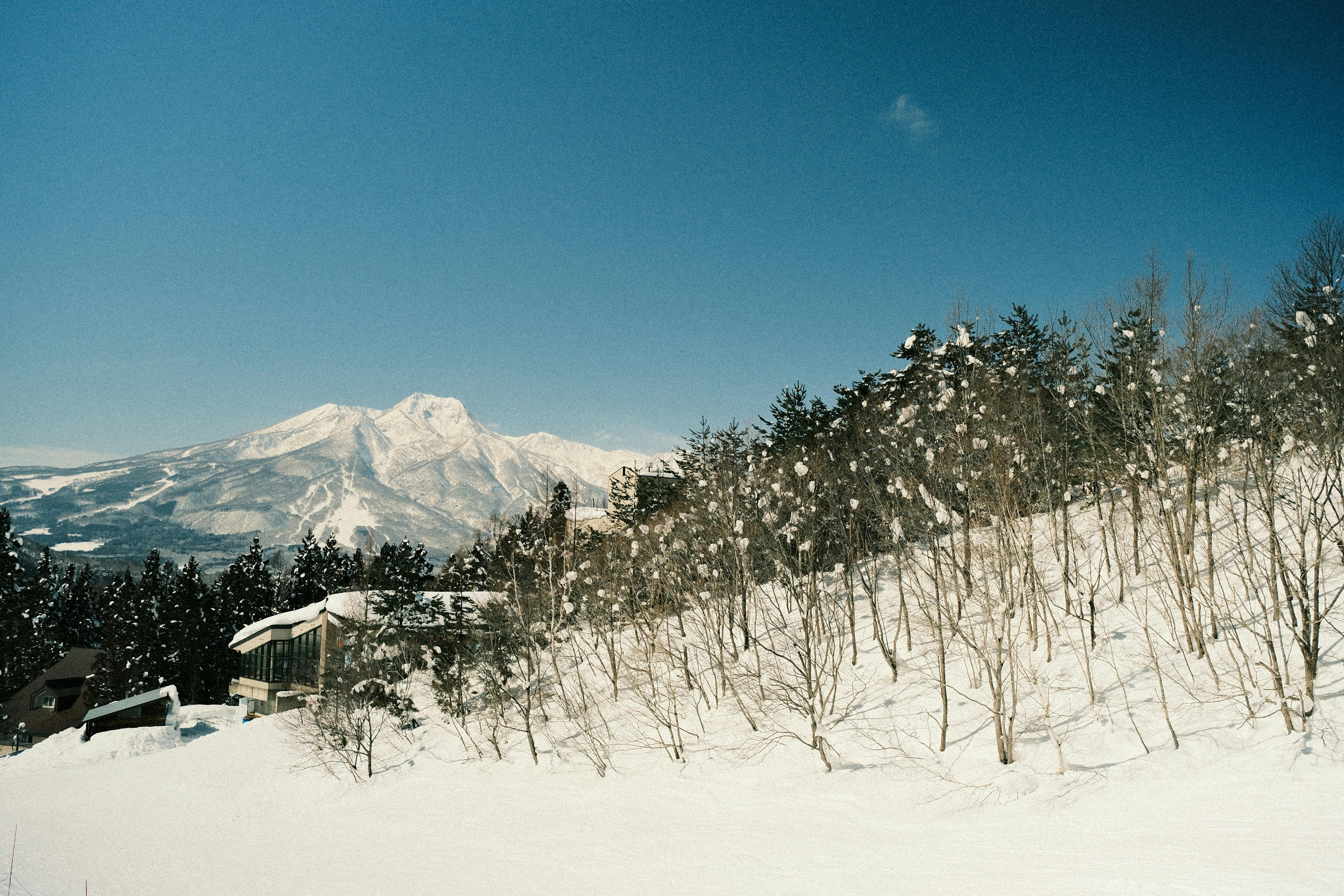 壁纸高清4k_日本宁静的冬日景色，白雪皑皑的树木