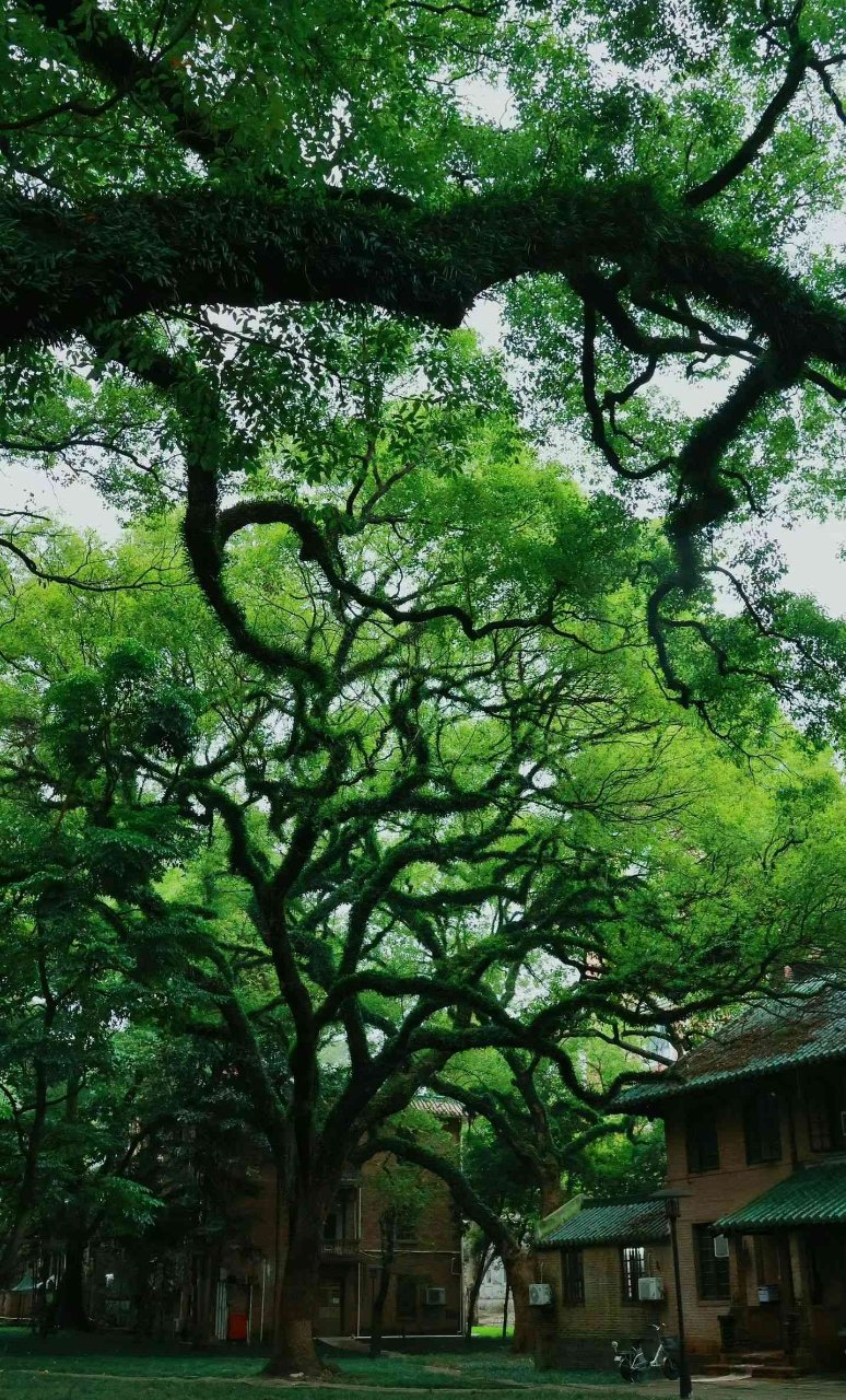 美景图片高清大图海岛_美景图片高清大图图片可保存相册