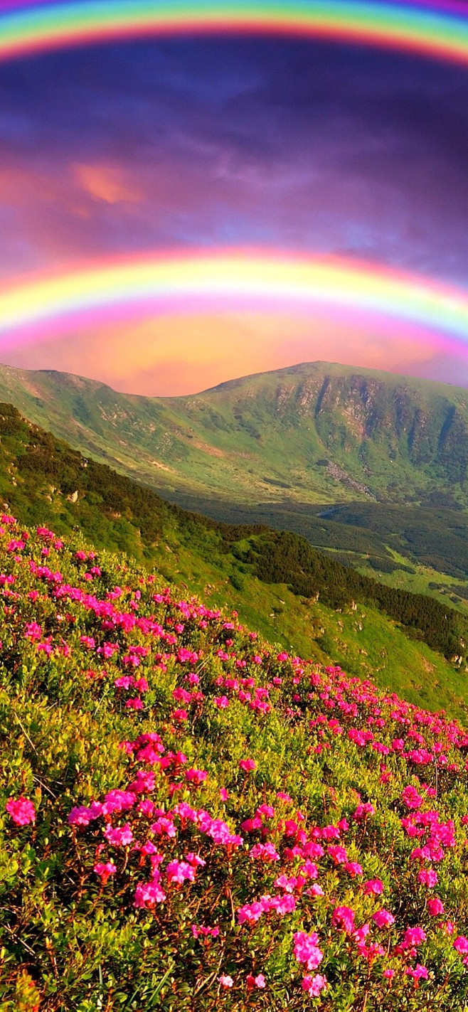 美景壁纸日本の絶景スポットおすすめ23選｜一度は見たい絶景美景_美景图片高清大图图片可保存相册