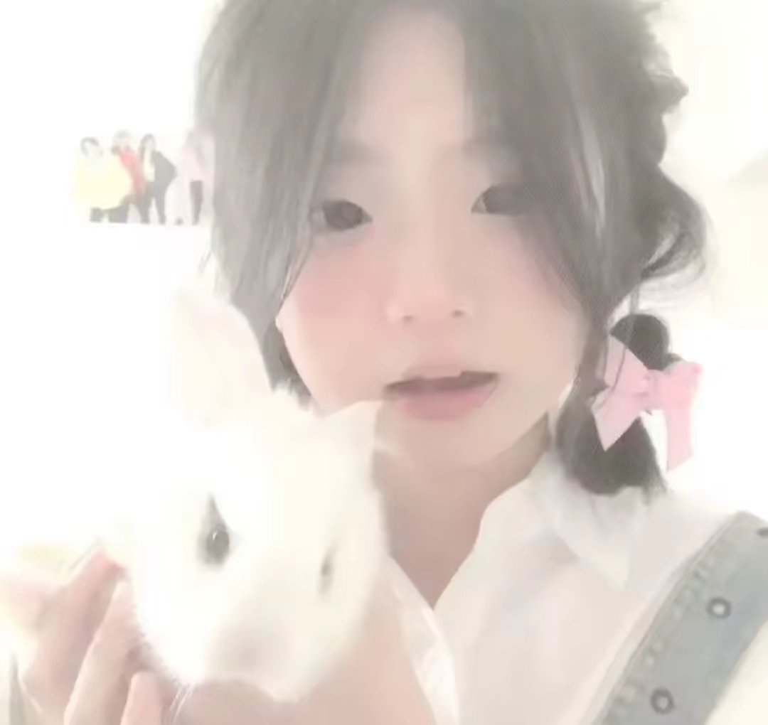 真人美女壁纸网红_真人美女壁纸真人壁纸