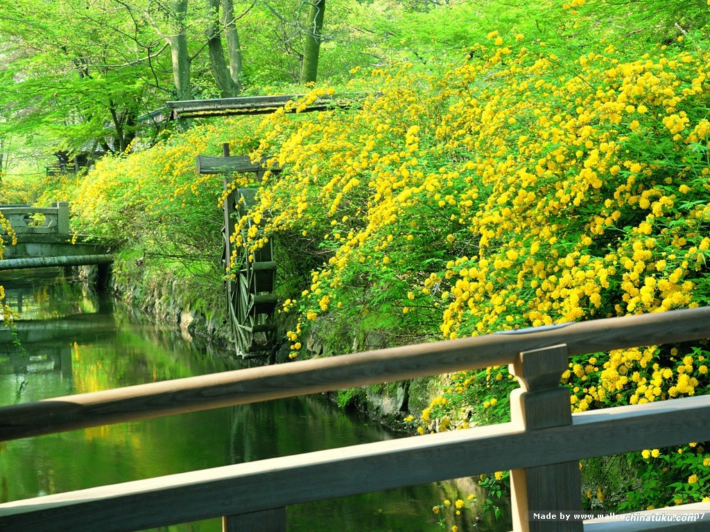 美景真实日本风光摄影图__风景名胜_自然景观_摄影图库_昵图网_美景图片高清大图图片可保存相册
