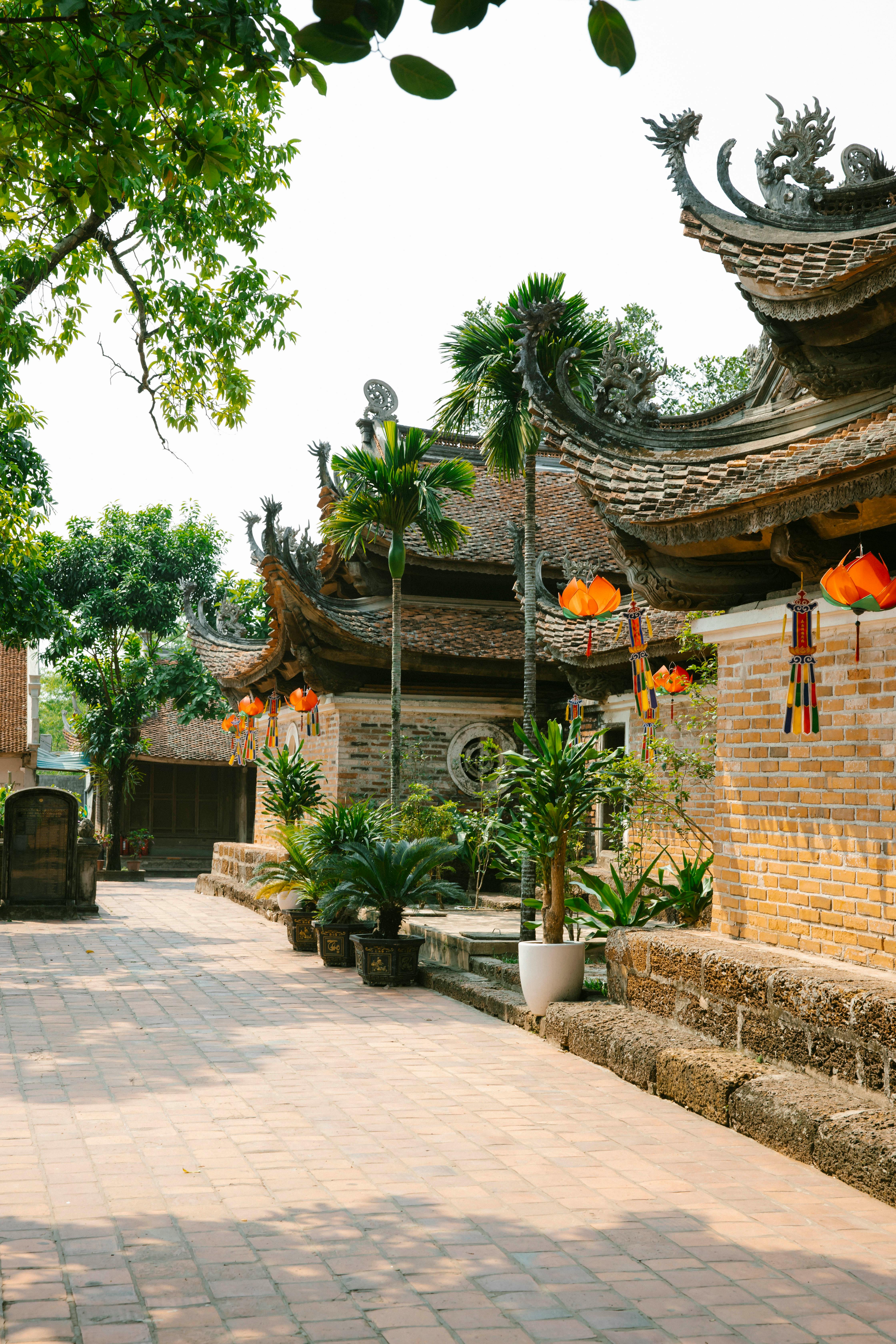 美景图片山脉_巴伦西亚艺术城的未来主义建筑