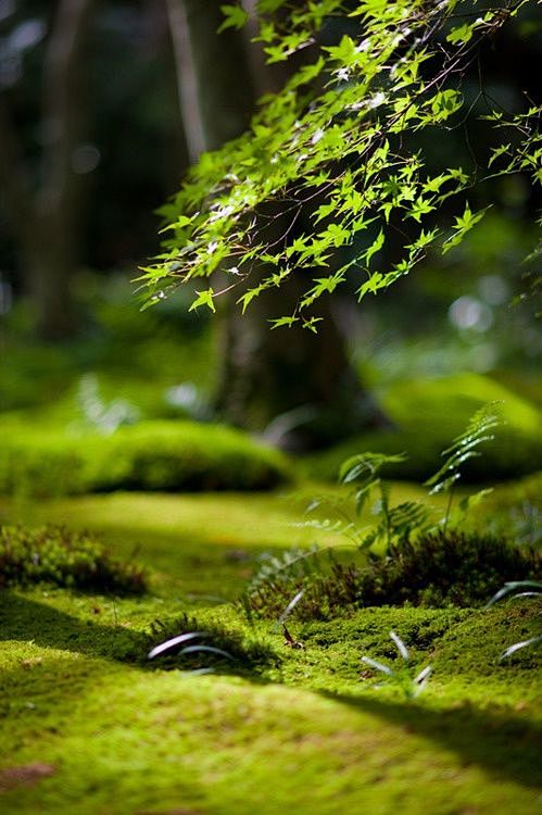 美景图片大全自然景象瑞士_美景图片高清大图图片真实照片