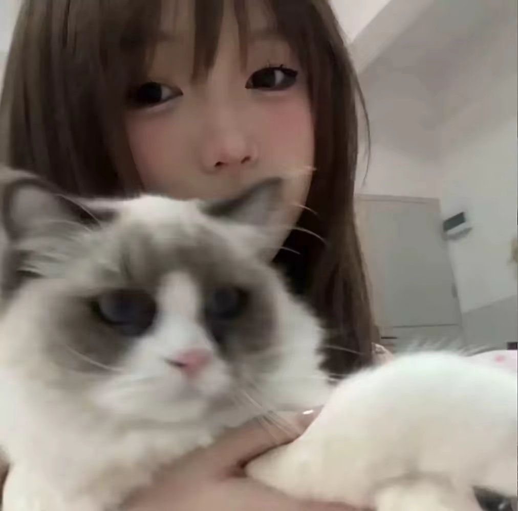 真人美女头像绘画_真人美女头像女头真人
