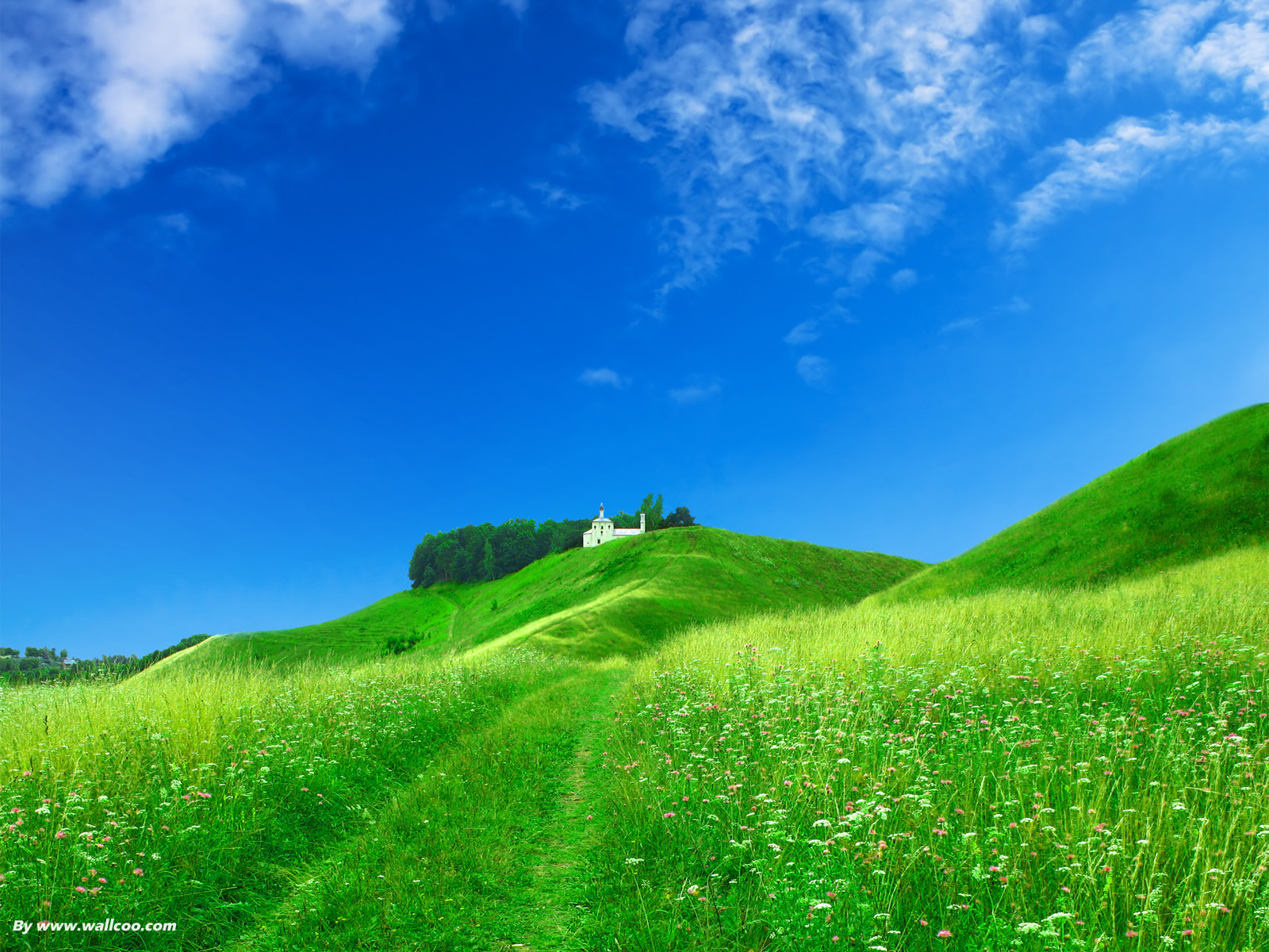 美景照片日本の絶景スポットおすすめ23選｜一度は見たい絶景美景_美景图片高清大图图片真实照片