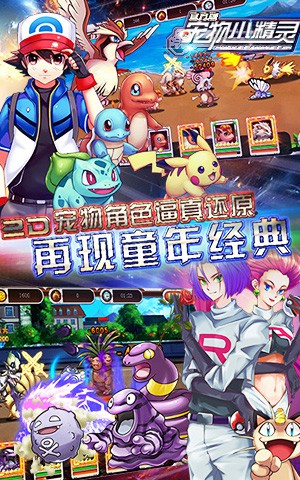 宠物头像小型_宠物图片猫