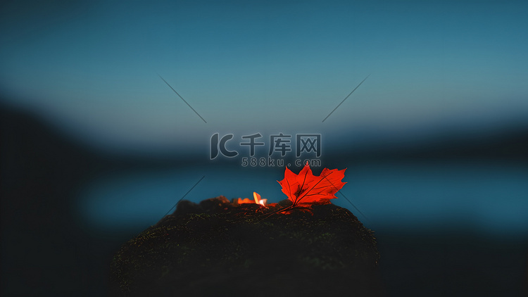 美景图片海边_美景图片高清大图图片可保存相册