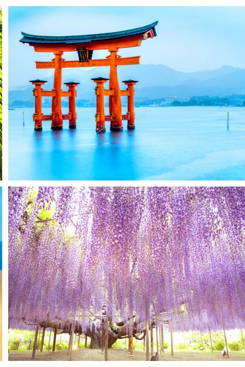美景图片大全自然景象江戶時代流傳至今！全日本最美的3大絕景－「日本三景」｜絕景日本_美景图片高清大图照片