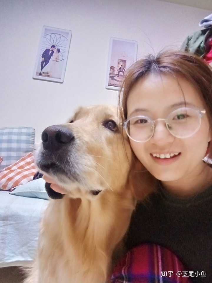 宠物狗科技_宠物图片猫