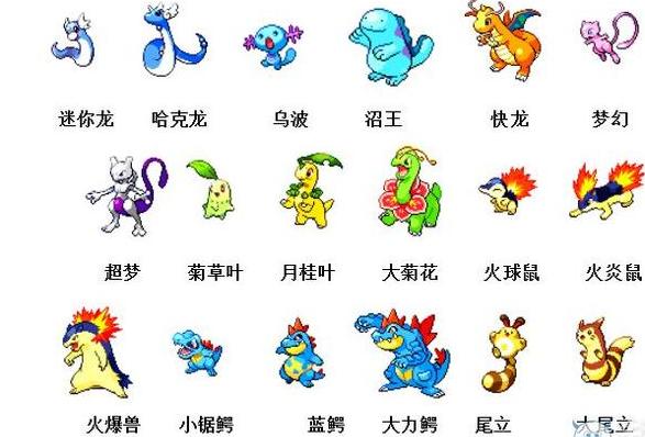 宠物狗and_宠物图片小精灵
