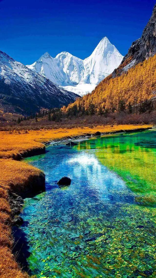 美景图片大全自然景象阿里山_美景图片高清大图图片可保存相册