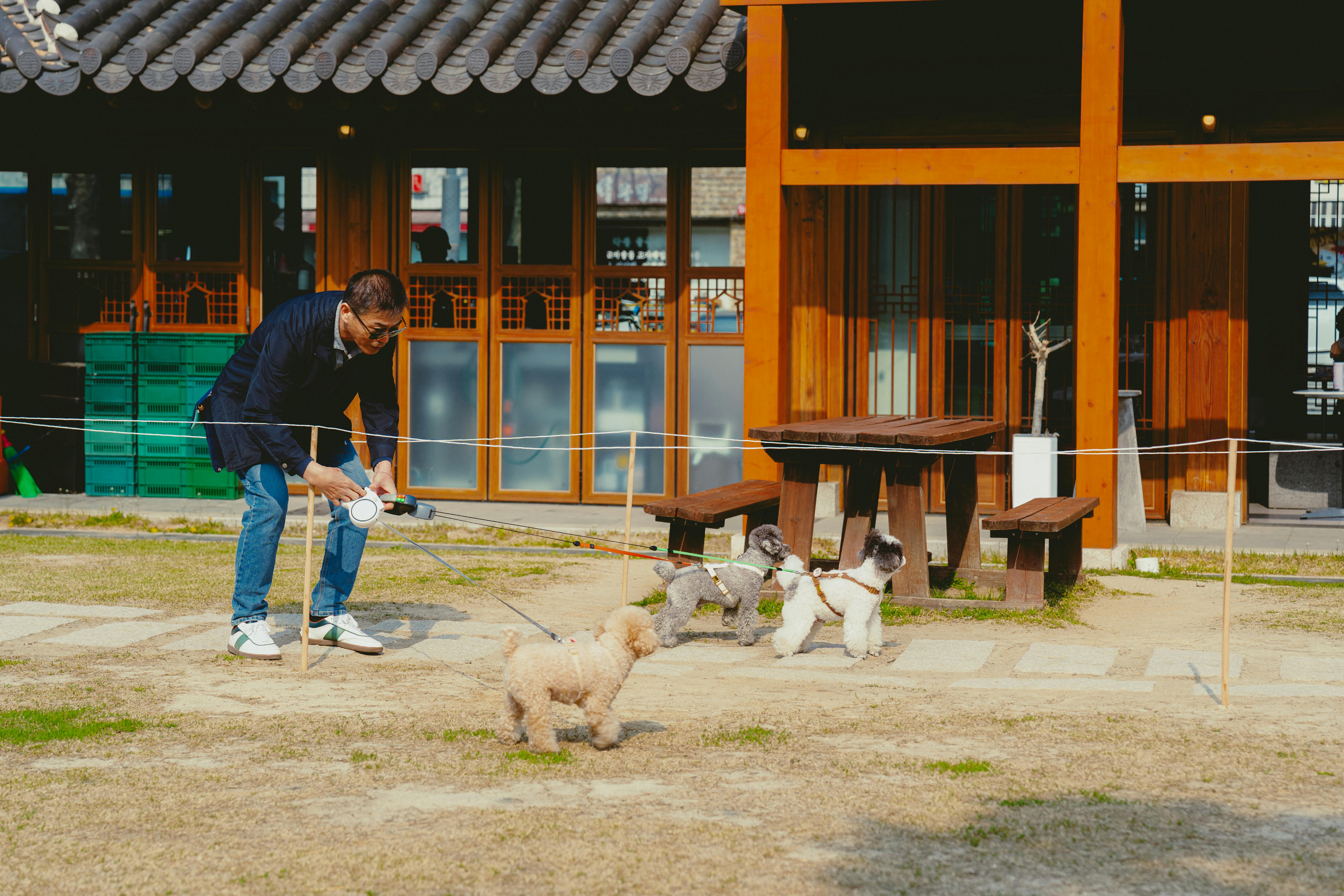 手机壁纸宫崎骏_首尔的韩国历史建筑