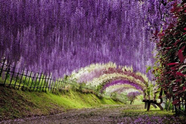 美景图片可保存相册日本五大最值得观光的“11月美景”｜绝景日本_美景图片高清大图图片大全自然景象