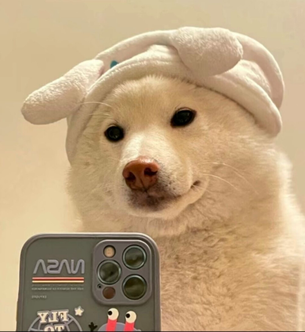 宠物小精灵图鉴Peta_宠物图片图片