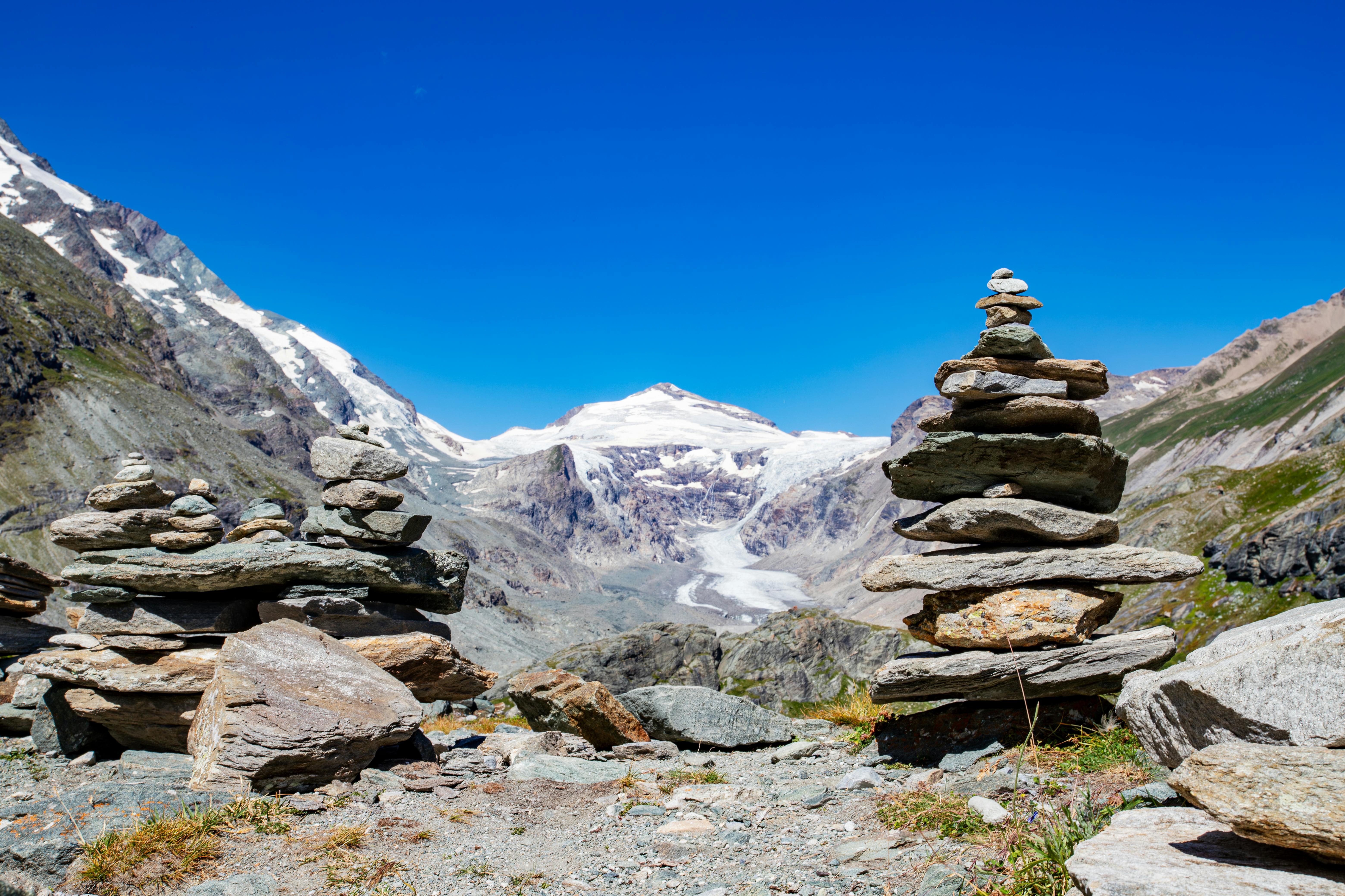 美景图片in_春季高山蓝花与山景