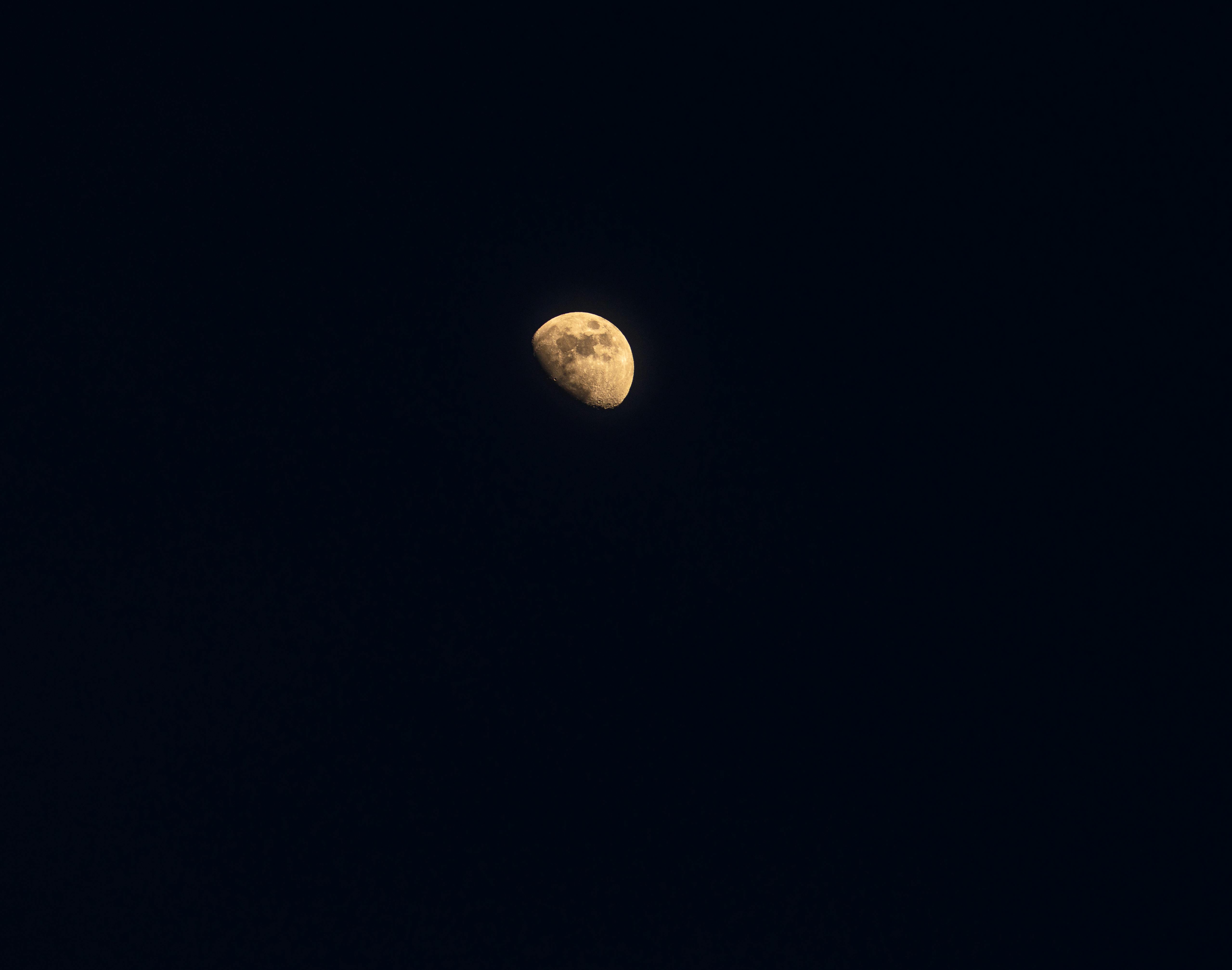 壁纸图片Space_茂盛的春天草地和白桦树景观