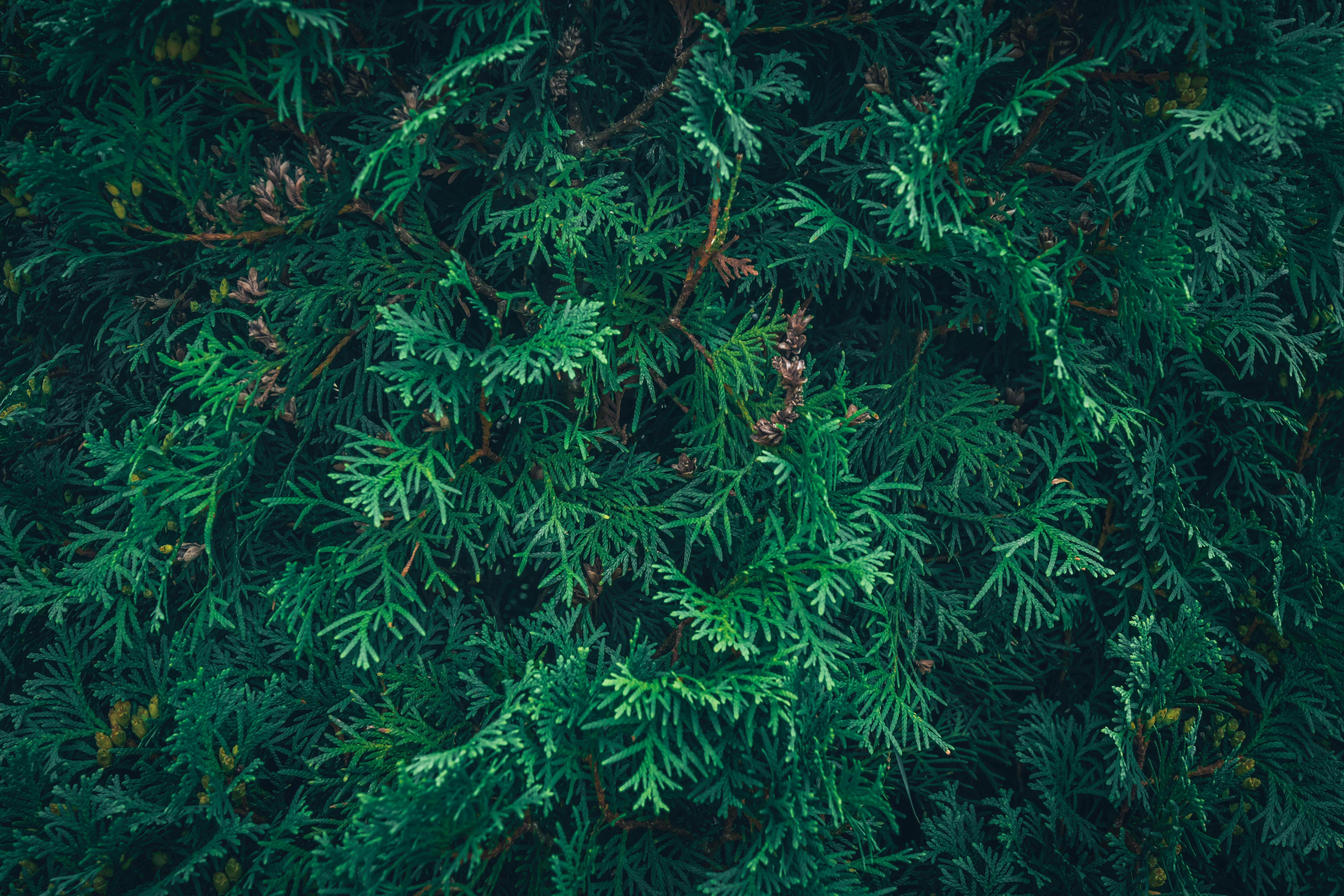 壁纸古风FREE_伊斯坦布尔历史悠久的拜占庭教堂建筑