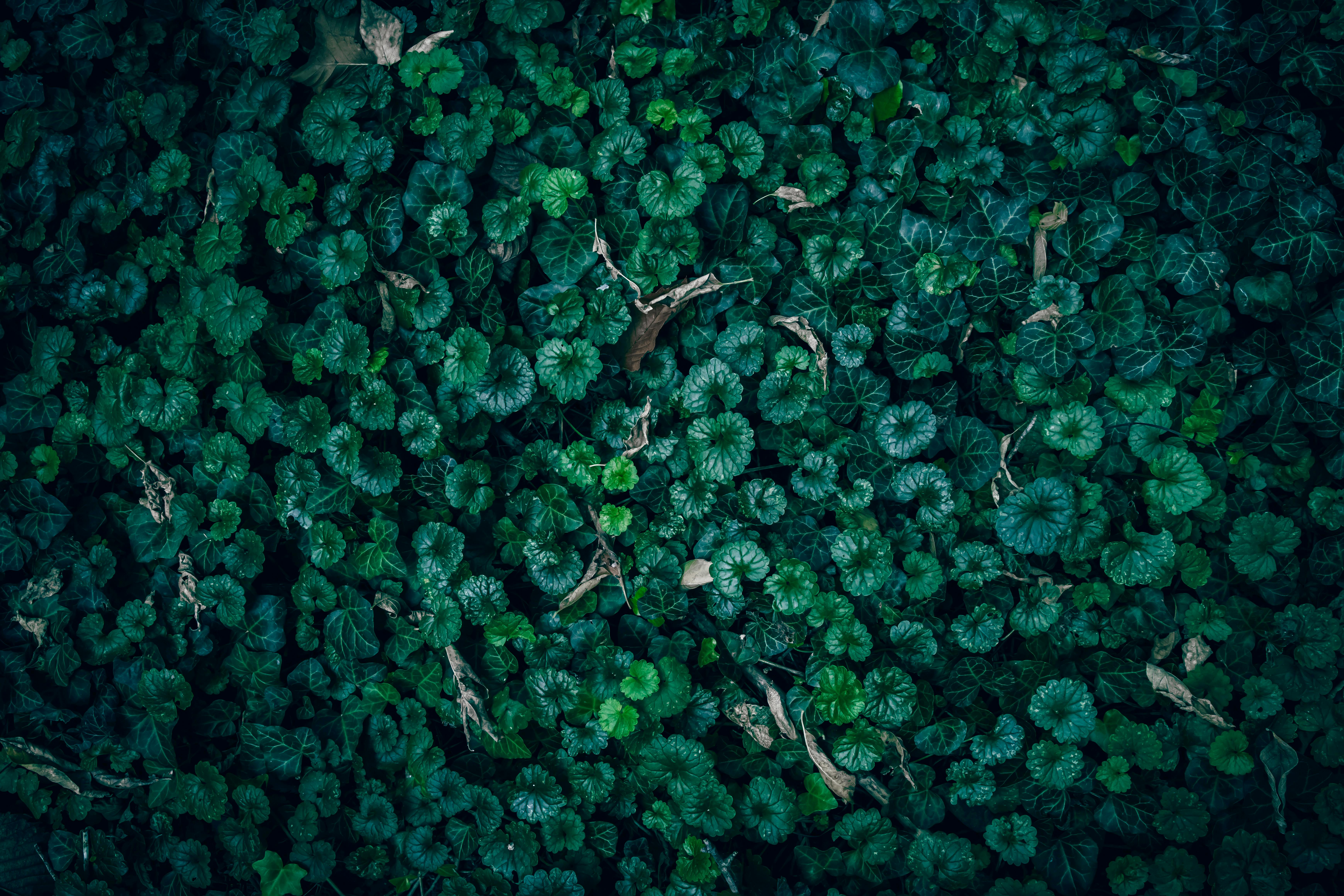 壁纸高清Wallpaper_复古黑白房间反射镜头