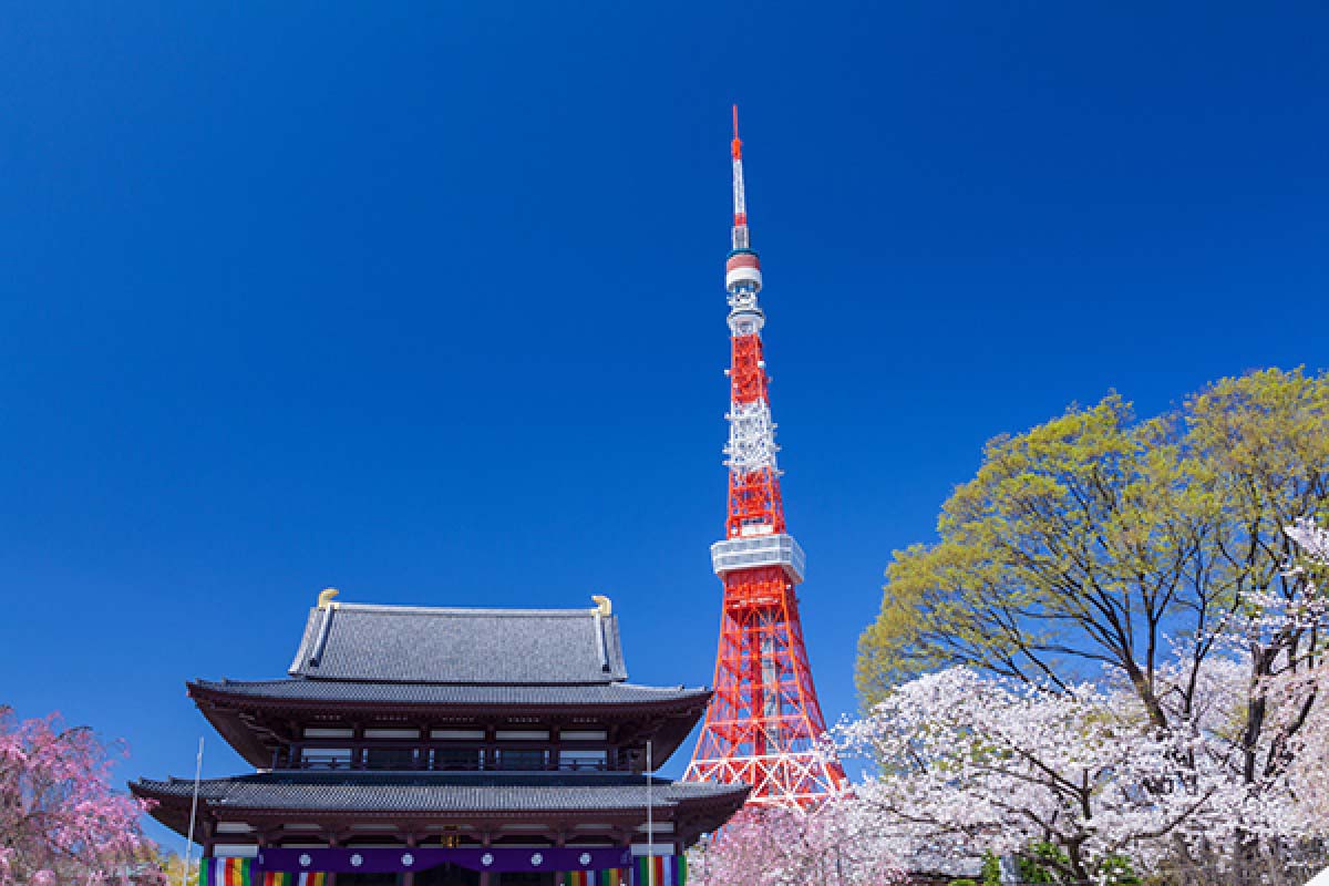 美景图片壁纸Japanese_美景图片高清大图图片可保存相册