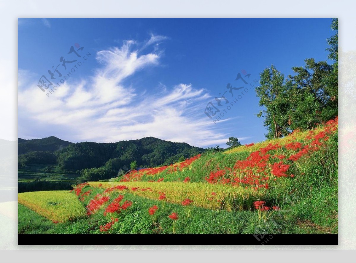 美景图片大全自然景象杭州美景_美景图片高清大图图片壁纸