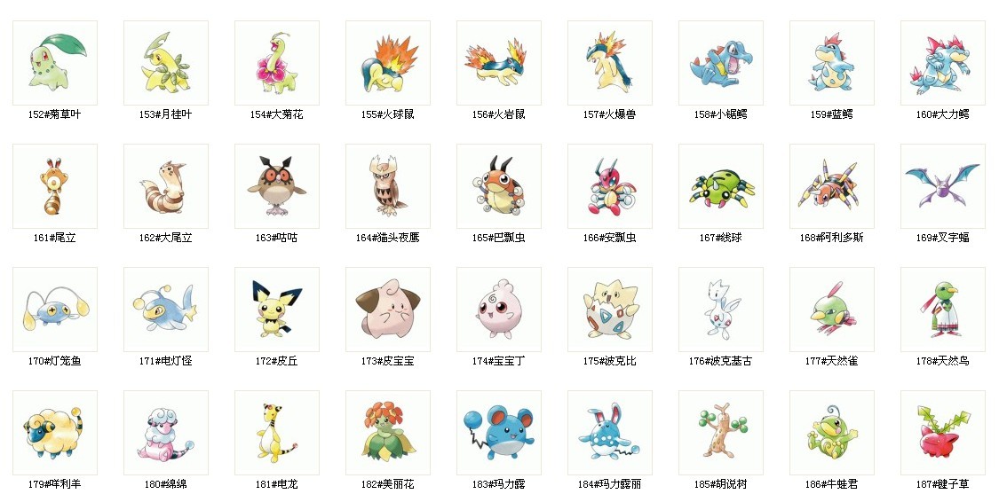 宠物照片Jal_宠物图片头像