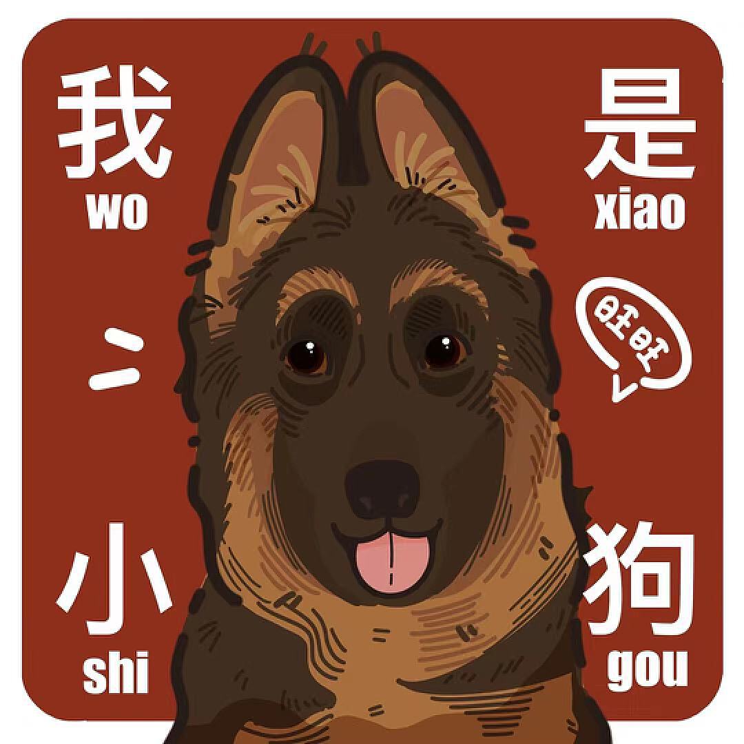 宠物蛇边牧_宠物图片猫