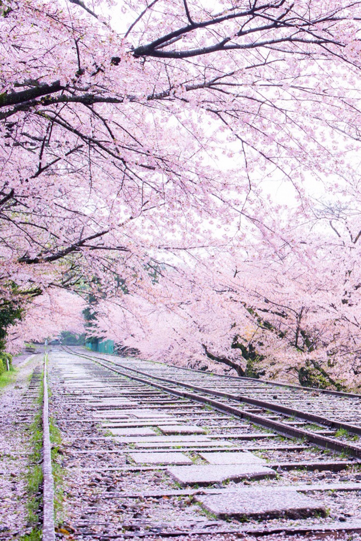 美景壁纸AllMacWallpaper_美景图片高清大图图片大全自然景象