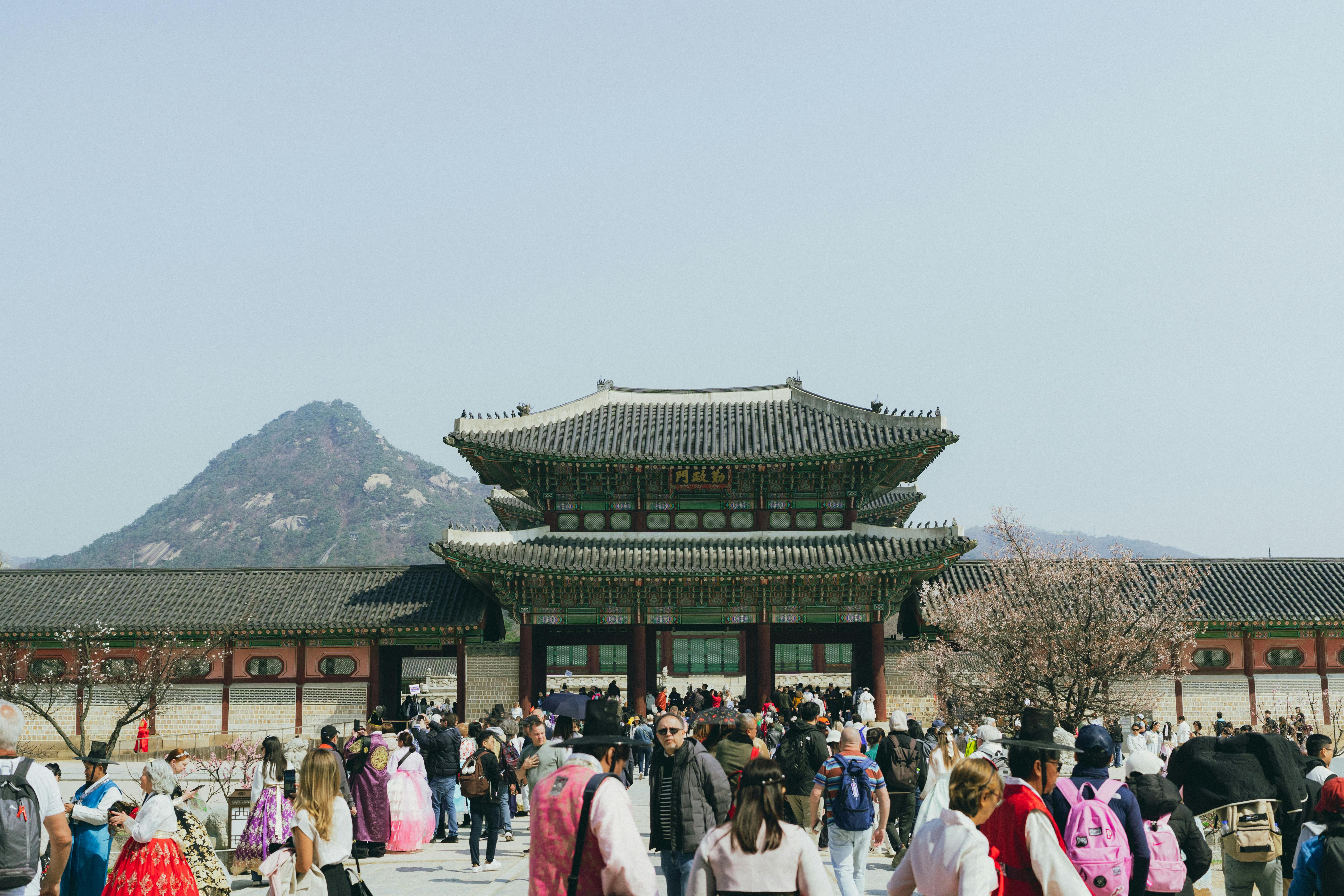 手机壁纸崩坏_从岩石壁架上欣赏森林景观的女人