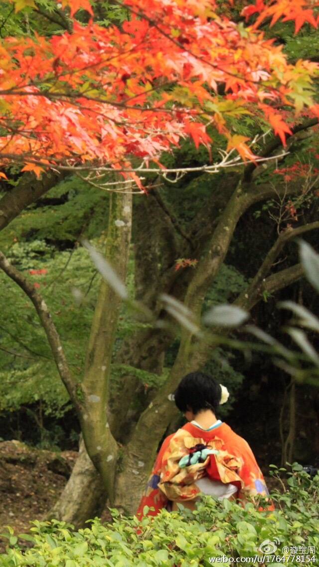 美景图片可保存相册日本美景图片-日本的美景素材-高清图片-摄影照片-寻图免费打包下载_美景图片高清大图头像
