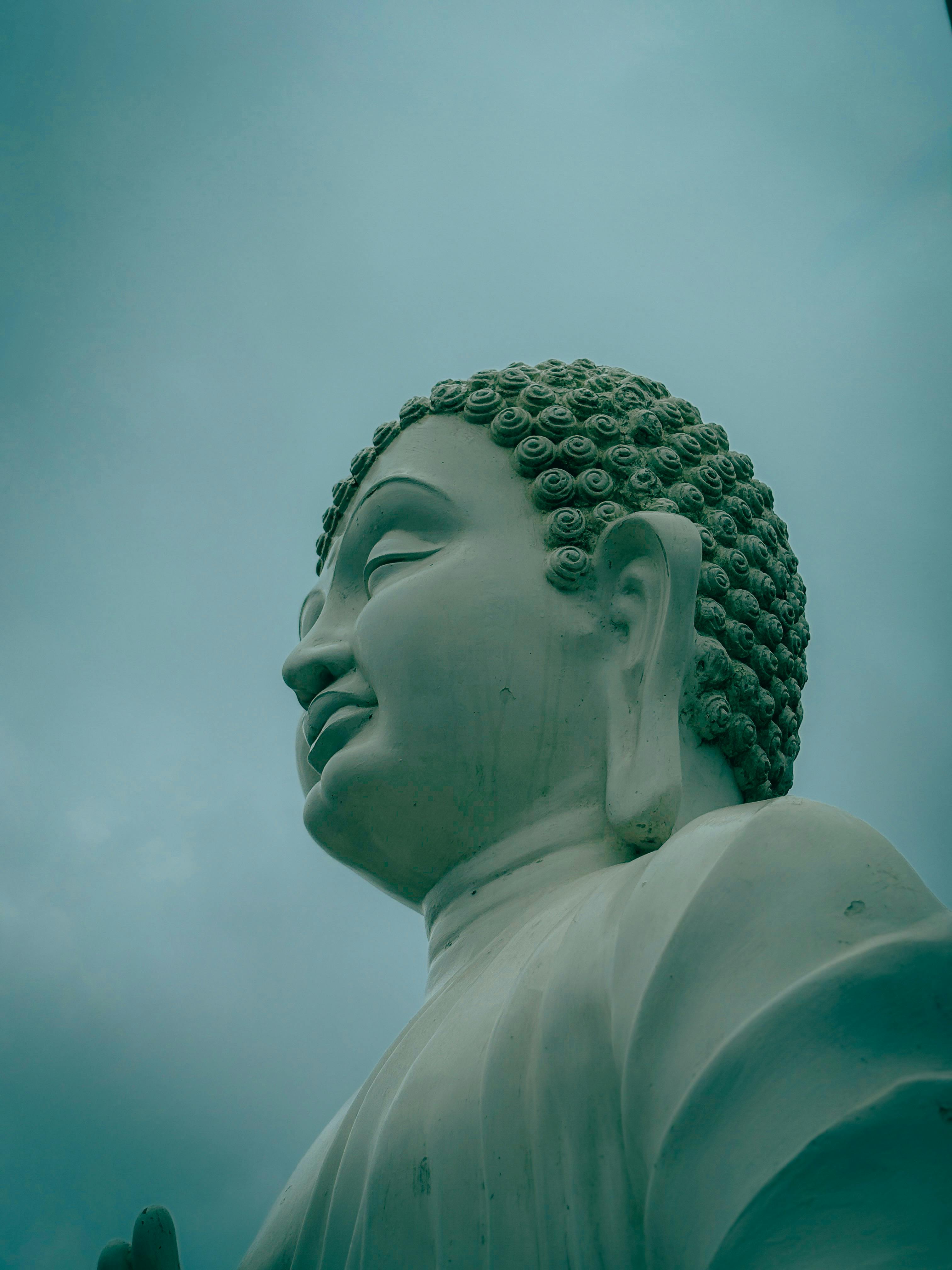 美景图片Best_城市环境中迷人的彩色排屋