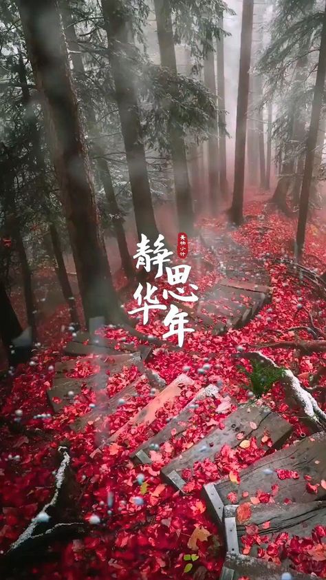 美景图片大全自然景象海岛_美景图片高清大图图片高清大图