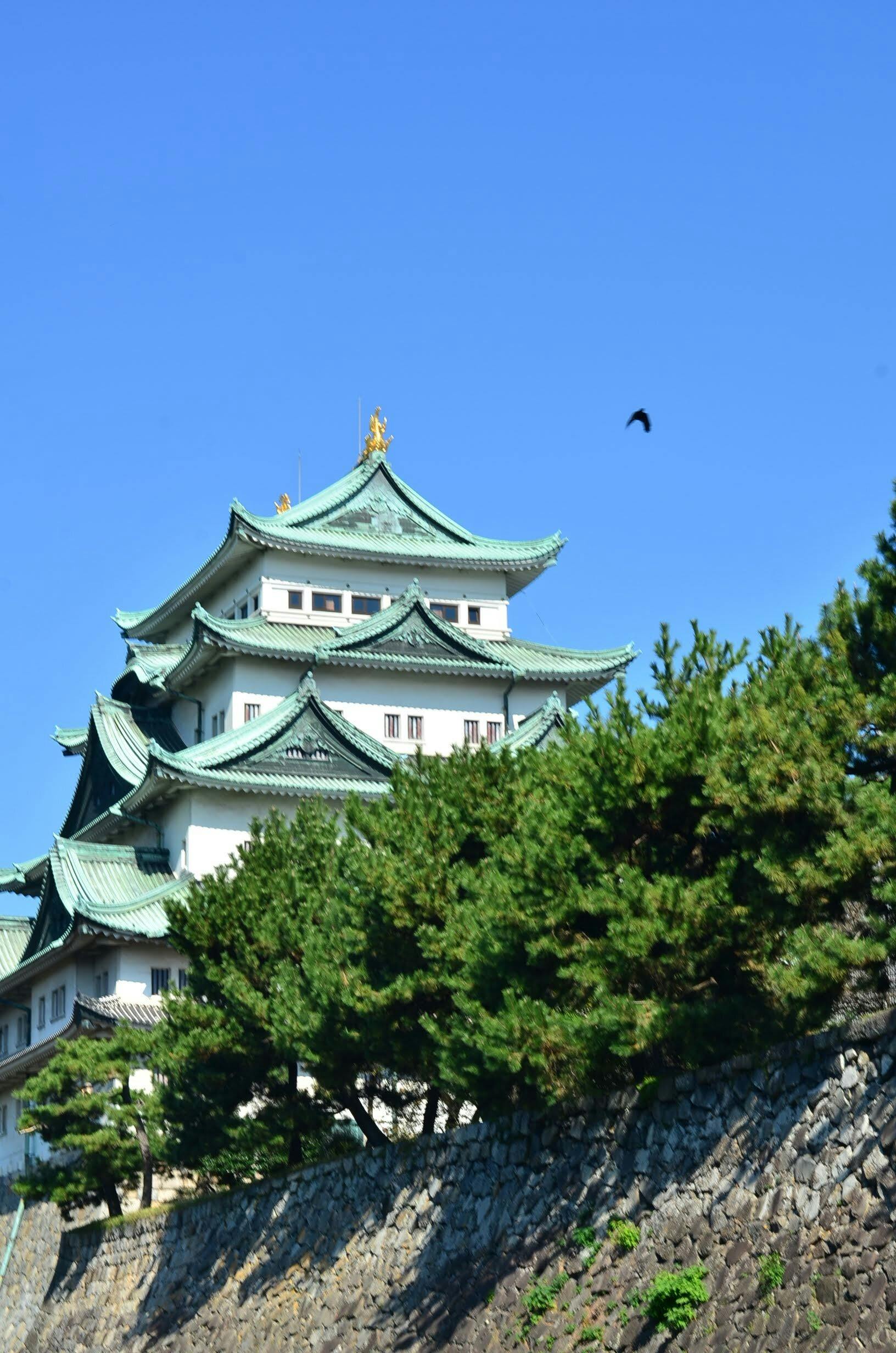 美景图片最新更新_日本名古屋