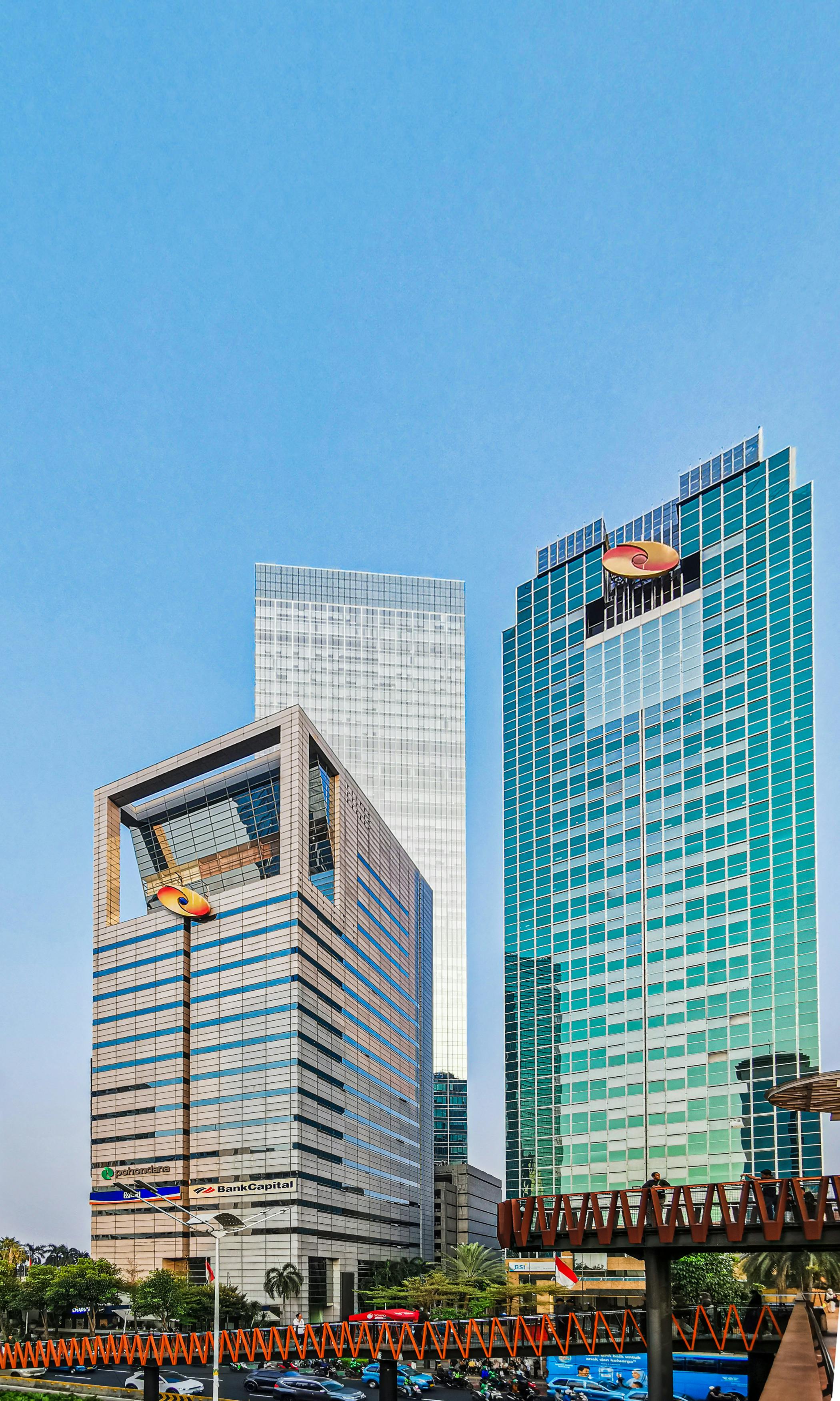 美景图片自然风景_龟背竹