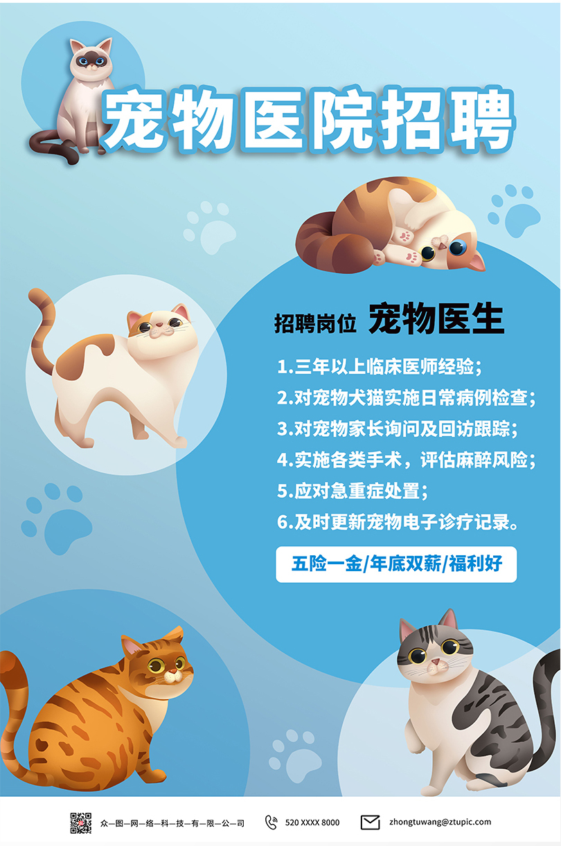 宠物狗可爱图片_宠物图片图片