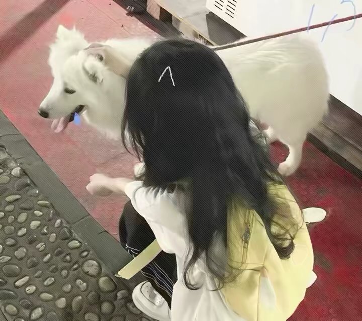 真人美女头像美女明星_真人美女头像真人美女壁纸