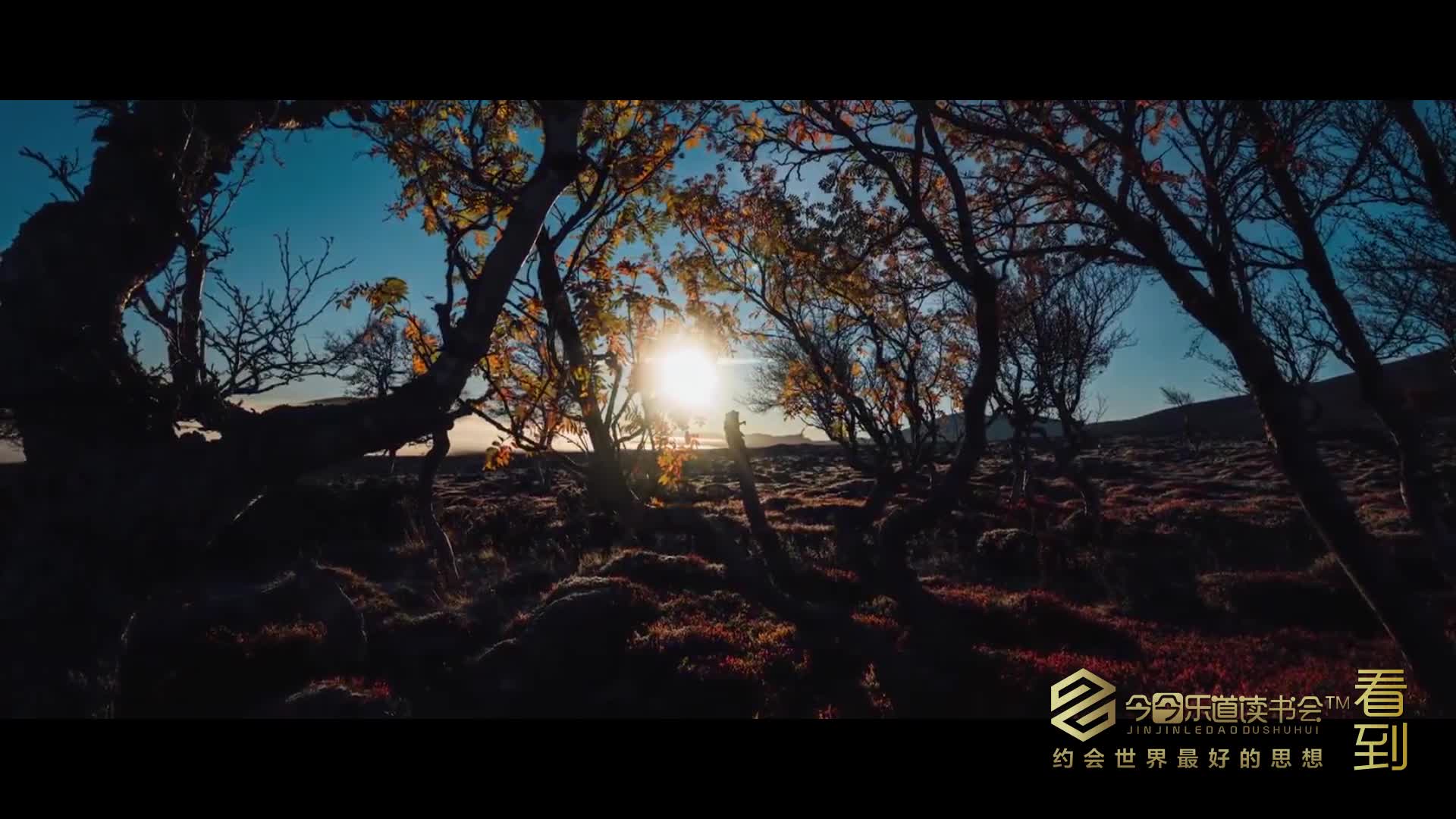 美景头像2K高清AI_美景图片高清大图图片壁纸