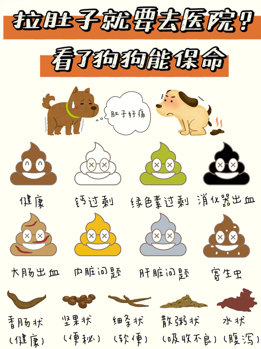 宠物小精灵图鉴狗子_宠物图片图片